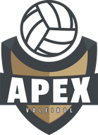APEX Voleibol